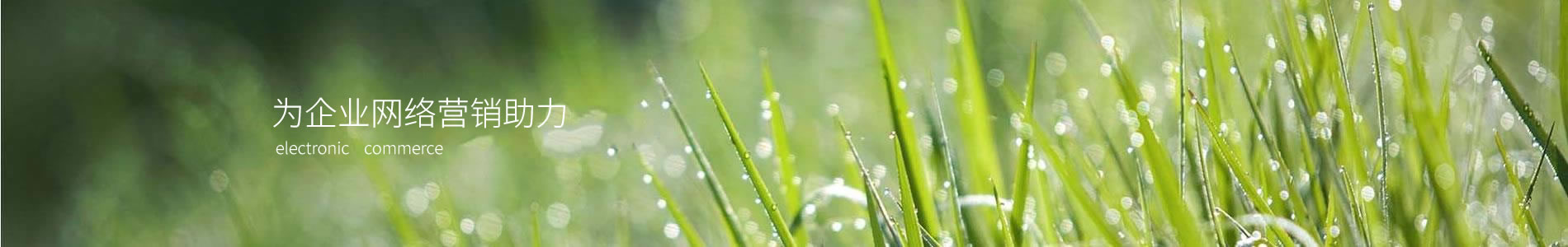 ̫ԭ廪Ƽ޹˾